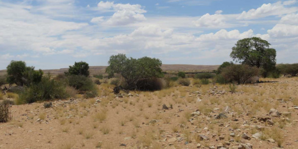 Farm for Sale near Keetmanshoop