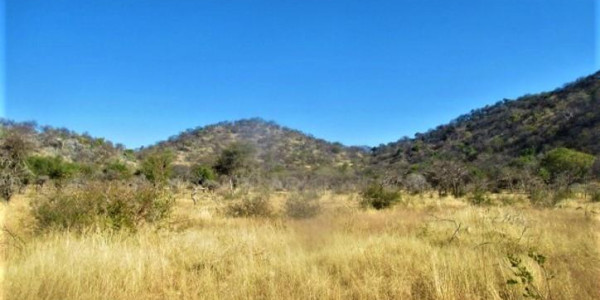 Farm for Sale near Otavi