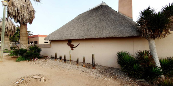 Entertainer's Delight: Thatch Room with Braai & Bar!