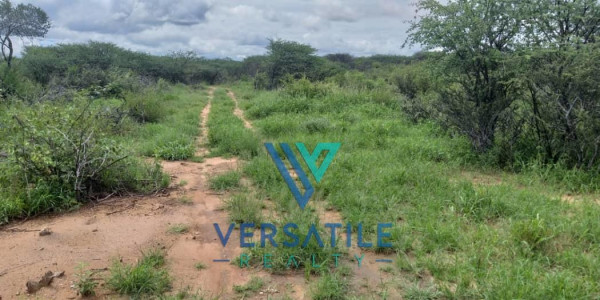 All Nature Lovers,150HA Plot, FOR SALE outside Outjo.