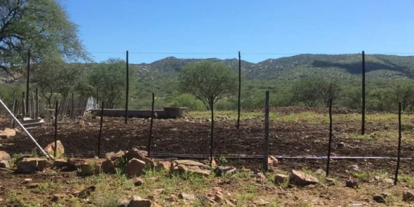 CATTLE FARM FOR SALE KHOMAS HOCHLAND