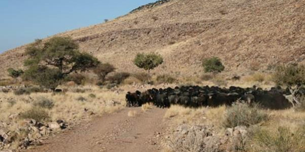 Farm for Sale near Keetmanshoop