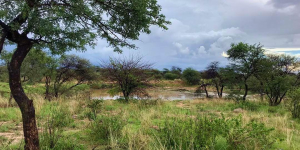 Otjozondjupa Region, Okahandja area:  26.7 Ha Smallholding is for sale