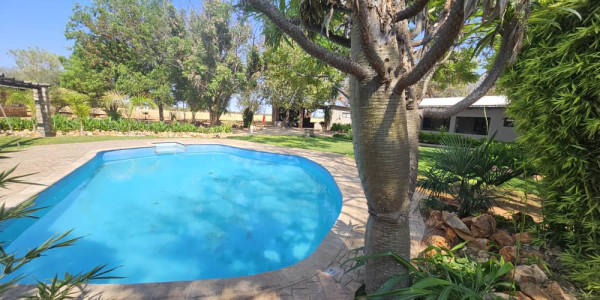 Stunning Guesthouse for Sale with a Main House, Bungalows, Campsite, and Brand New Swimming Pool