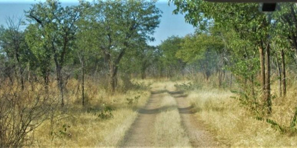 Farm for Sale near Otavi