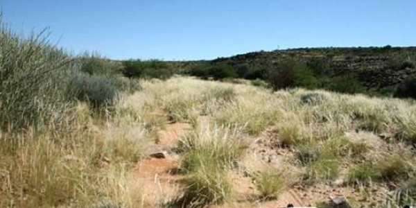 Farm for Sale near Keetmanshoop