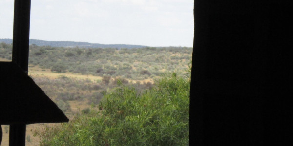 WELL ESTABLISHED BEAUTIFUL GAME FARM FOR SALE N$ 65 000 000.00 PTY (LTD)