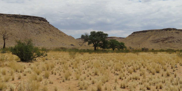 Farm for Sale near Keetmanshoop