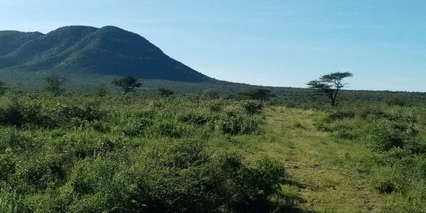 Otavi Agriculture Small Holding Plots - For Sale Now