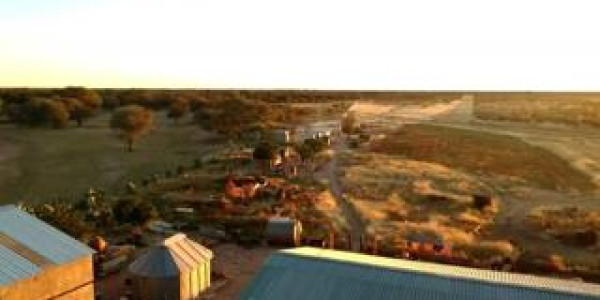 CATTLE FARM FOR SALE IN GOBABIS DISTRICT