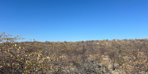 Discover 5000ha of mountainous beauty with a small fountain, just 15km from the main gravel road – an ideal spot for your next tourism project!