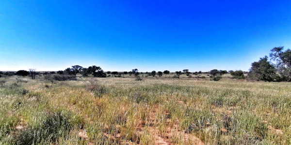 BEAUTIFULL FARM FOR SALE IN THE SOUTH OF NAMIBIA
