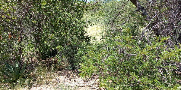 Plot for sale - Gobabis district