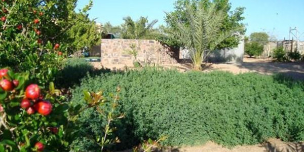 Farm for Sale near Keetmanshoop