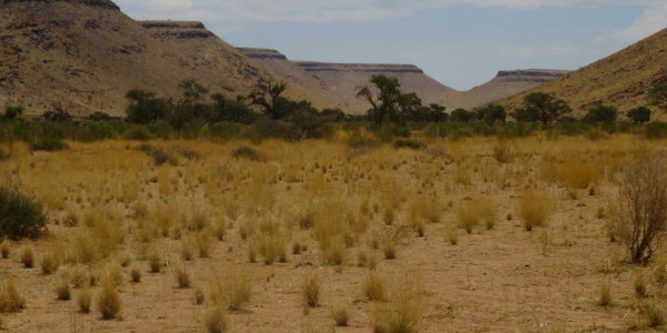 Farm for Sale near Keetmanshoop