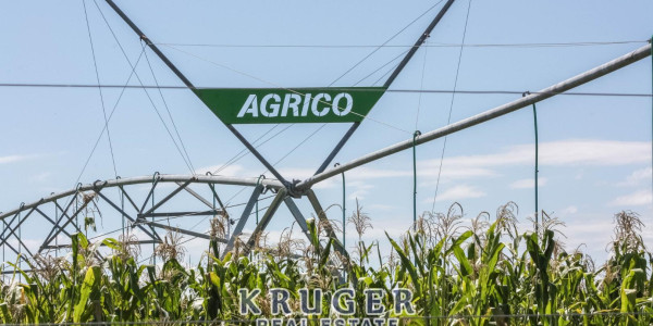 Agricultural smallholding situated approximate 20 km North-East of Omaruru on the banks of the Omaruru river