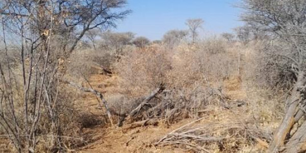 Namibia, Otjozondjupa  | Farm For Sale , Otavi