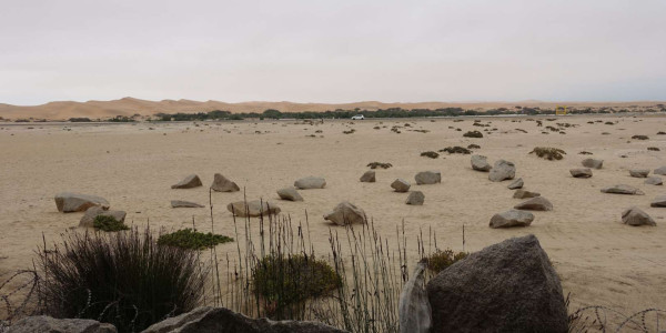 A true desert rose! Elegant warm house with endless dune views