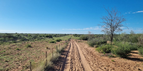 CATTLE FARM FOR SALE IN GOBABIS DISTRICT: BUITEPOS