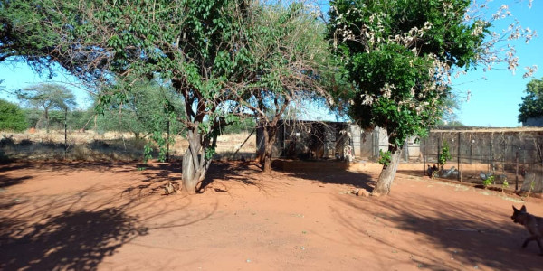 Smallholding for sale - Otjiwarongo