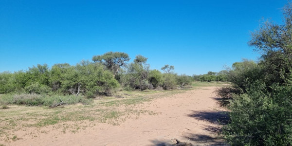 CATTLE FARM FOR SALE IN GOBABIS DISTRICT: BUITEPOS