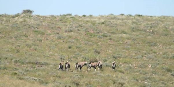 Farm for Sale near Keetmanshoop