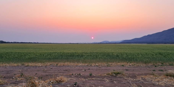 Irrigation Farm for Sale in Otavi Region – Ideal for Foreign Investors