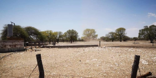 COMMERCIAL FARM FOR SALE IN TSUMEB DISTRICT