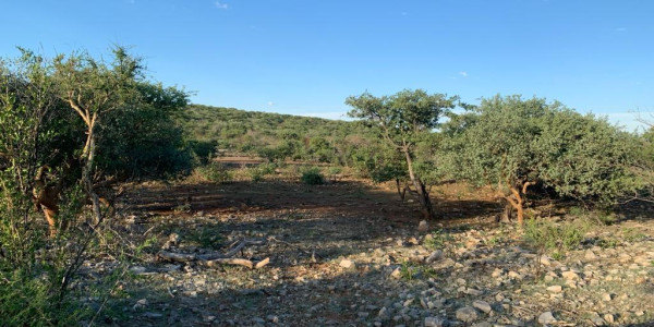 Own your piece of rural paradise with this expansive 5100ha  farm for sale! Endless possibilities await.