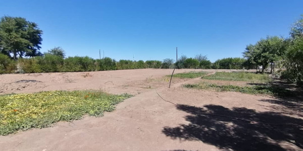 NUTRITIONAL RICH AGRICULTURAL / RESIDENTIAL PLOT FOR SALE IN HARDAP NAMIBIA