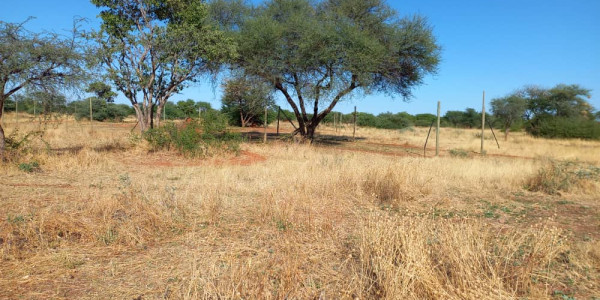 Smallholding for sale - Otjiwarongo