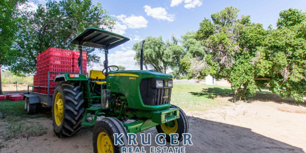 Agricultural smallholding situated approximate 20 km North-East of Omaruru on the banks of the Omaruru river