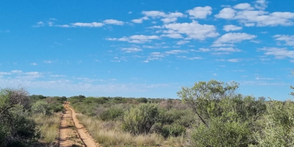 CATTLE FARM FOR SALE IN GOBABIS DISTRICT: BUITEPOS