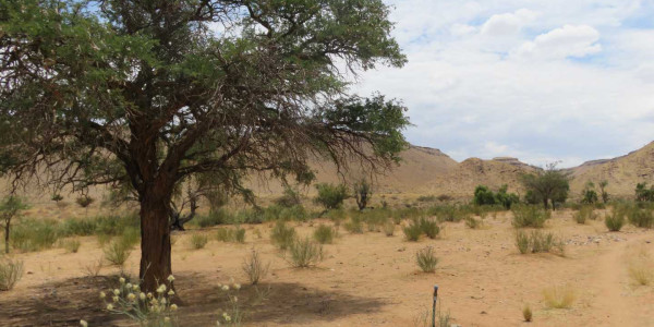 Farm for Sale near Keetmanshoop