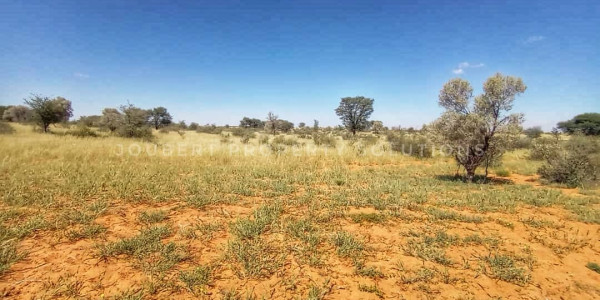 EXCEPTIONAL KALAHARI FARM FOR SALE IN NAMIBIA - HARDAP DISTRICT