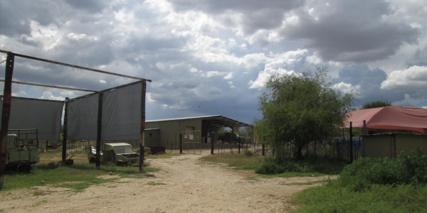 WELL ESTABLISHED BEAUTIFUL GAME FARM FOR SALE N$ 65 000 000.00 PTY (LTD)