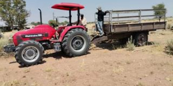 CATTLE FARM FOR SALE IN GOBABIS DISTRICT