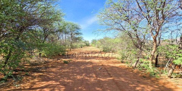 Otjozondjupa Region, Otjiwarongo District, Namibia:  Beautiful Farm for Sale