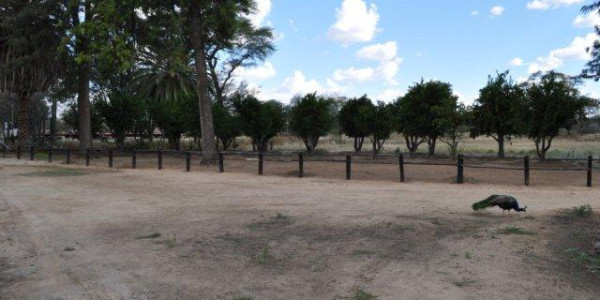 203 hektar plot for Sale, Omaruru