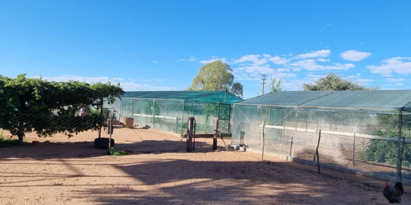 CATTLE FARM FOR SALE IN GOBABIS DISTRICT: BUITEPOS