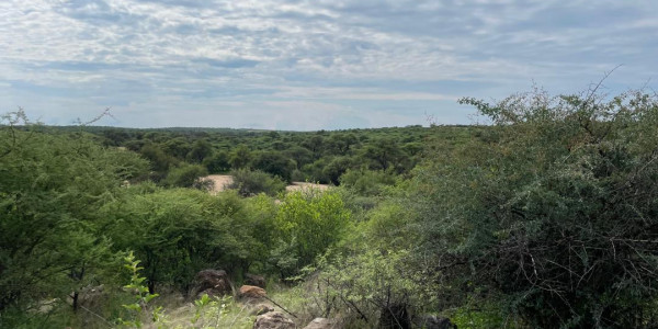 Ozombanda Nature Estate Association (ONEA)