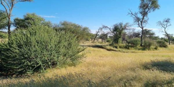 Exquisite Hunting / Game farm for sale in Namibia  Omaruru – Erongo Region