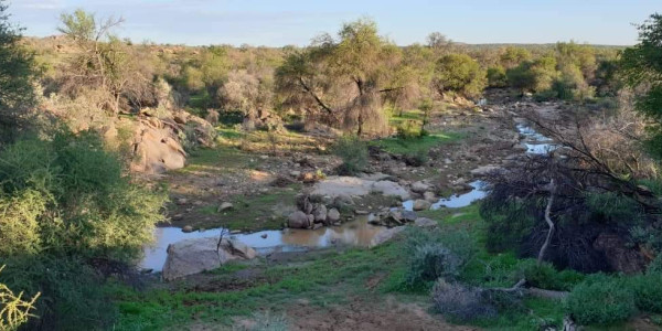 Khomas Region, Windhoek District:  Beautiful Equestrian and Guest Farm is for Sale