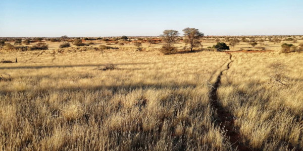 OWN YOUR PIECE OF NAMIBIA - FARM FOR SALE IN NAMIBIA