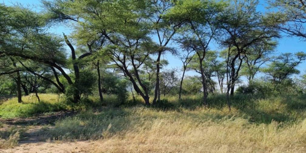 Exquisite Hunting / Game farm for sale in Namibia  Omaruru – Erongo Region