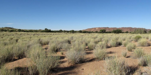 Karasburg:  EXQUISITE FARM FOR SALE IN THE SOUTH OF NAMIBIA