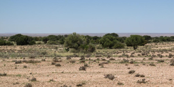 Karasburg:  EXQUISITE FARM FOR SALE IN THE SOUTH OF NAMIBIA