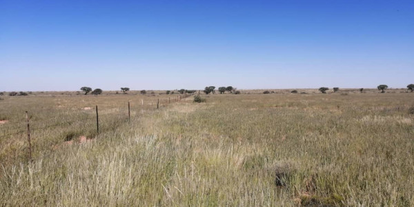 EXQUISITE FARM FOR SALE IN THE SOUTH OF NAMIBIA
